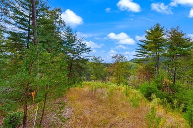 Riverfront Mountain Homesite in the highly desirable gated - photo 9