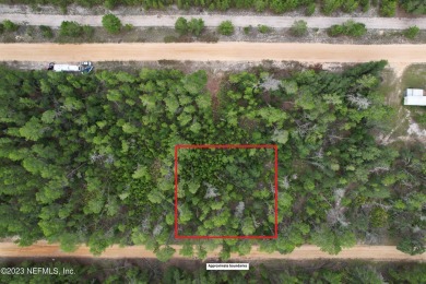 Lake Lot For Sale in Interlachen, Florida