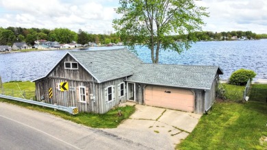 Lake Home For Sale in Chippewa Lake, Michigan