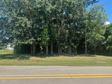 Prime lot with commercial or residential potential! Great - photo 1