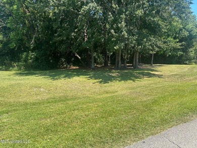 Prime lot with commercial or residential potential! Great - photo 3