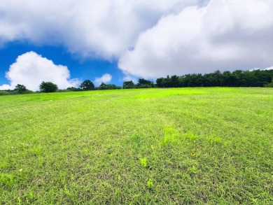 Big Texas Skies - Lakeside Homesite in Desired Subdivision - photo 9