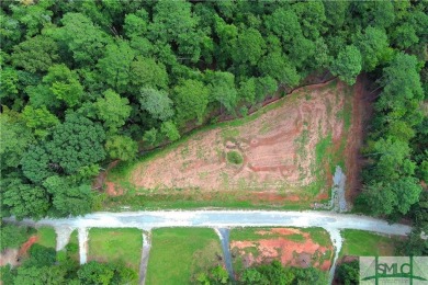 Lake Lot For Sale in Greensboro, Georgia