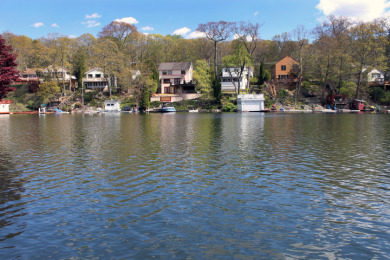 Updated lake front, new kitchen, 4 new baths, 3 bedrooms + more! - photo 26