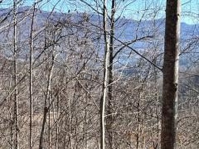 Lake Chatuge Lot For Sale in Hiawassee Georgia
