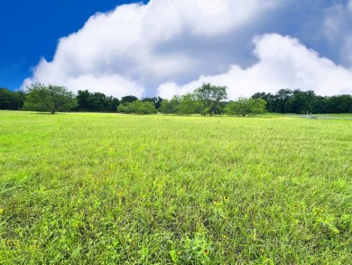 Big Texas Skies - Lakeside Homesite in Desired Subdivision - photo 12