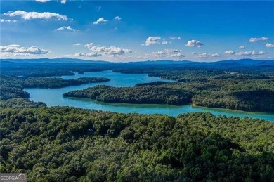 Lake Acreage For Sale in Morganton, Georgia