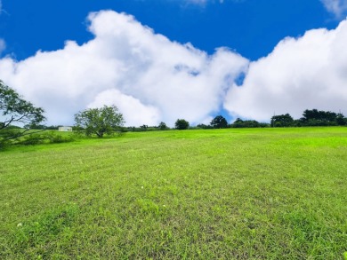 Big Texas Skies - Lakeside Homesite in Desired Subdivision - photo 11