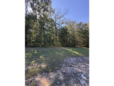 Build your dream home or a perfect vacation retreat on this - photo 9