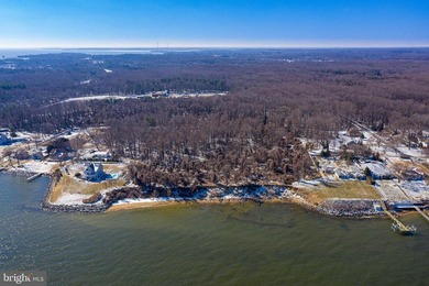 This rarely offered Chesapeake Bay site is 2.8 acres. The - photo 6