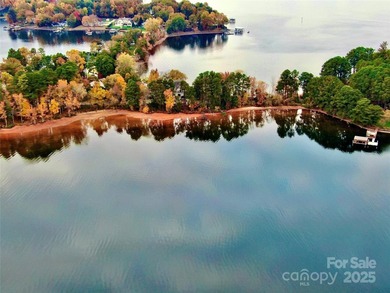 Discover an opportunity to make this waterfront lot your own on - photo 7