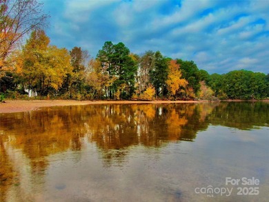 Discover an opportunity to make this waterfront lot your own on - photo 9
