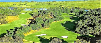 Experience unparalleled waterfront living in beautiful - photo 36