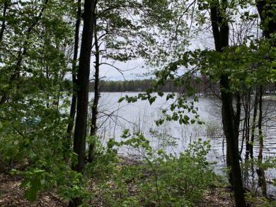 Perch Lake - Otsego County Lot For Sale in Gaylord Michigan