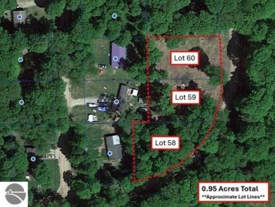 Lake Lot For Sale in Cadillac, Michigan