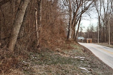 Only seconds from the Illinois River, this approximately 740 - photo 29