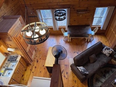 Cherry Log Lake Home For Sale in Cherry Log Georgia