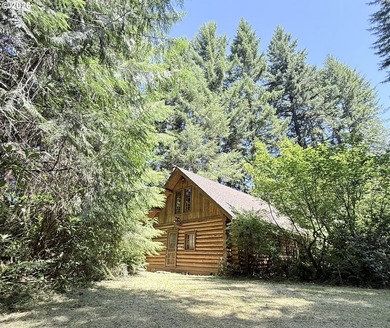 Experience a unique log cabin getaway at Fishhawk Lake, built - photo 1