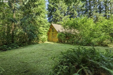 Experience a unique log cabin getaway at Fishhawk Lake, built - photo 3