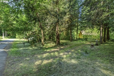 Experience a unique log cabin getaway at Fishhawk Lake, built - photo 6