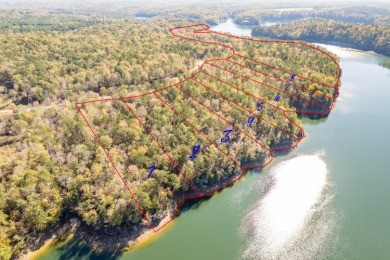 Smith Lake (Ryan Creek) Just released! One of the final pieces - photo 3