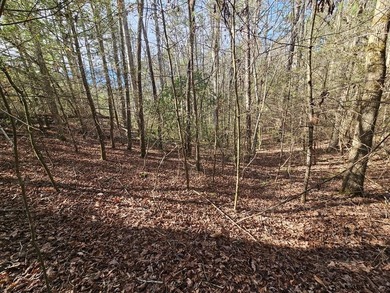 Coosawattee River Lot For Sale in Ellijay Georgia