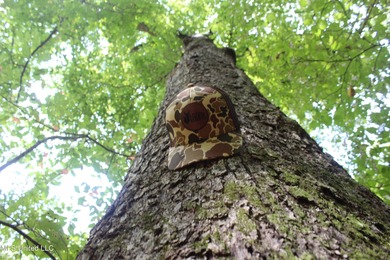 (private lake, pond, creek) Acreage For Sale in Brookhaven Mississippi