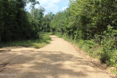 This 7.21 acre tract would make a great home or camp site - photo 3