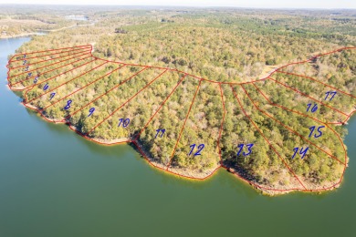 Smith Lake (Ryan Creek) Just released! One of the final pieces - photo 3
