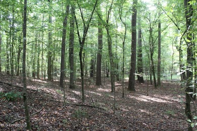 This 7.21 acre tract would make a great home or camp site - photo 4