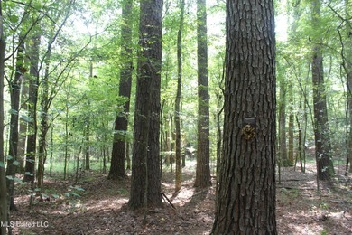 This 7.21 acre tract would make a great home or camp site - photo 10
