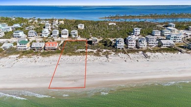 RARE 1.15 ACRE GULF FRONT LOT ON NORTH CAPE SAN BLAS! With 111 - photo 1