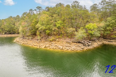 Lake Lot For Sale in Crane Hill, Alabama