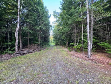 Looking for off-grid property in Maine with privacy, natural - photo 15