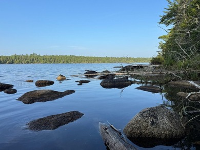 Looking for off-grid property in Maine with privacy, natural - photo 16