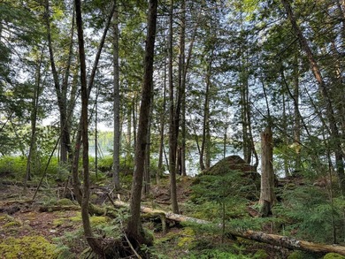 Looking for off-grid property in Maine with privacy, natural - photo 17