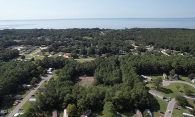 RARE 4-ACRE LOT IN PRIME GAUTIER LOCATION - A HIDDEN GEM NEAR - photo 1