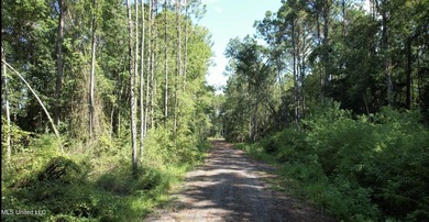 RARE 4-ACRE LOT IN PRIME GAUTIER LOCATION - A HIDDEN GEM NEAR - photo 2