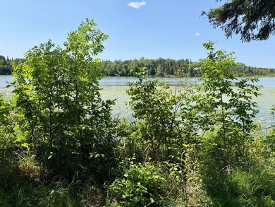 Escape to the peace and beauty of northern Minnesota with this - photo 22