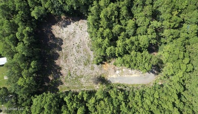 RARE 4-ACRE LOT IN PRIME GAUTIER LOCATION - A HIDDEN GEM NEAR - photo 3