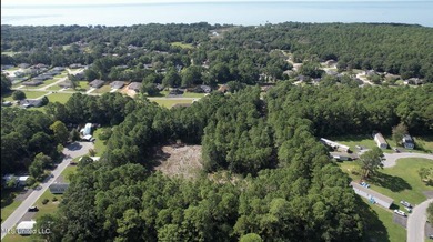 RARE 4-ACRE LOT IN PRIME GAUTIER LOCATION - A HIDDEN GEM NEAR - photo 4