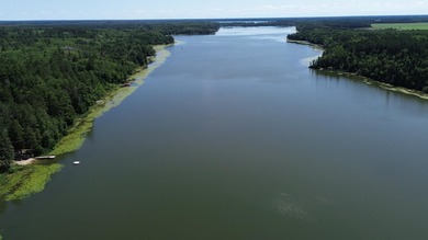 Escape to the peace and beauty of northern Minnesota with this - photo 24
