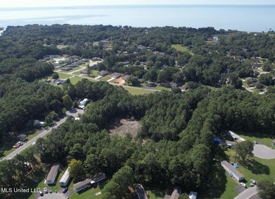 RARE 4-ACRE LOT IN PRIME GAUTIER LOCATION - A HIDDEN GEM NEAR - photo 6