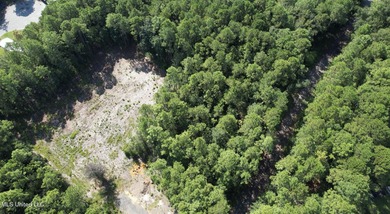 RARE 4-ACRE LOT IN PRIME GAUTIER LOCATION - A HIDDEN GEM NEAR - photo 9
