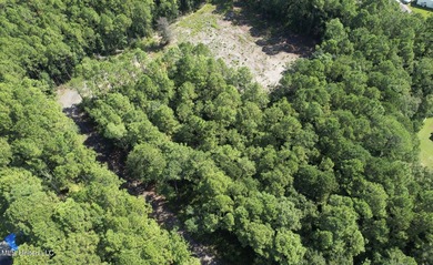 RARE 4-ACRE LOT IN PRIME GAUTIER LOCATION - A HIDDEN GEM NEAR - photo 10