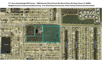 Great development opportunity. One of the few commercial land - photo 3