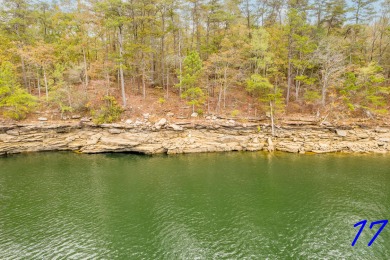 Smith Lake (Ryan Creek) Just released! One of the final pieces - Lake Lot For Sale in Crane Hill, Alabama