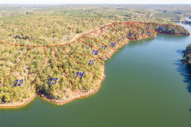 Smith Lake (Ryan Creek) Just released! One of the final pieces - photo 2