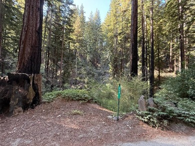 Nestled in a serene redwood forest, 449 Band Road presents a - photo 1