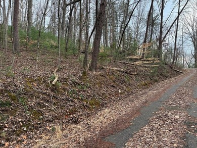 Lake Harding Lot For Sale in Young Harris Georgia